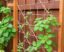 Cómo instalar una celosía para plantas tú mismo: guía práctica para transformar tu jardín