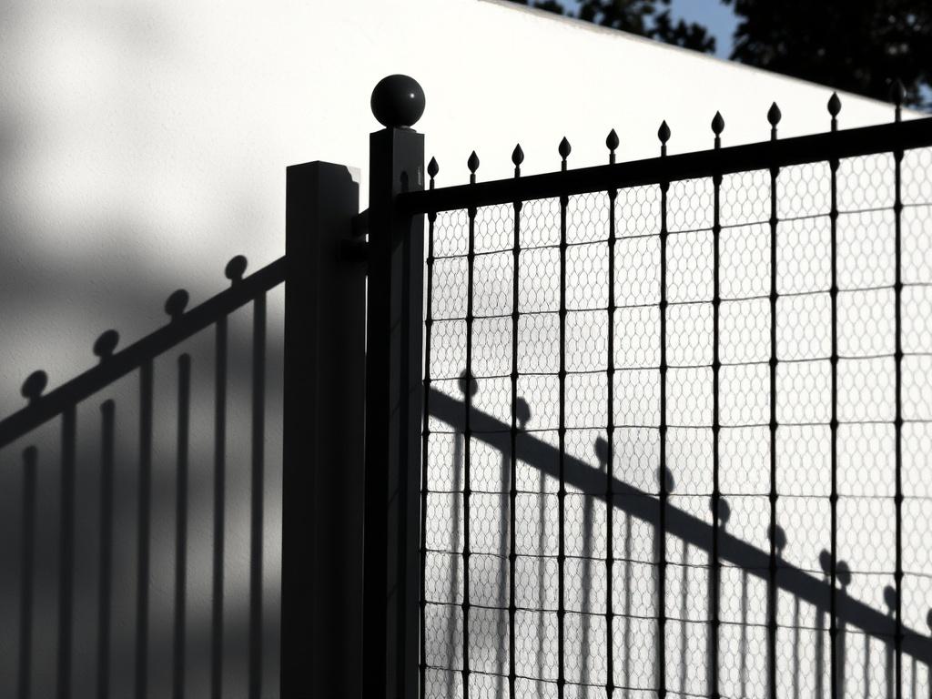 Der Zaun und sein Schattenwurf. Der Zaun: fronteras, sociedad y metáforas