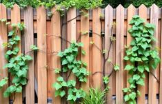 Vallas que respiran vida: cómo convertir tu cercado en soporte perfecto para enredaderas y jardines verticales