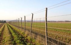 Les clôtures brise-vent pour l'agriculture: guía práctica para diseñar, plantar y aprovechar barreras contra el viento