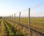 Les clôtures brise-vent pour l'agriculture: guía práctica para diseñar, plantar y aprovechar barreras contra el viento
