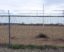 La malla moderna que sorprende: Modern Chain Link — Not Just for Industrial Lots Anymore