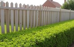 Zaun und Hecke: Una combinación perfecta para transformar tu jardín