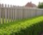 Zaun und Hecke: Una combinación perfecta para transformar tu jardín