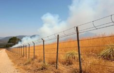 Vallas contra incendios forestales: defensas inteligentes para proteger vidas, casas y paisaje