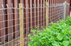 Vallas para proteger plantas del viento: la guía completa, práctica y creativa