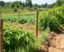 Zäune im ökologischen Landbau: Vallas y cercas que cultivan vida