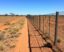 La valla más larga del mundo: El Dingo Fence de Australia, una frontera entre ganado, vida salvaje y paisaje